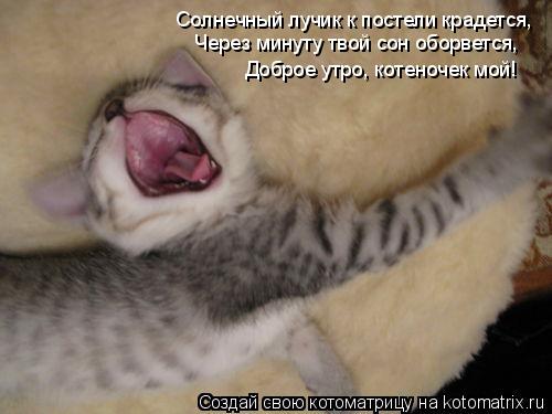 Котоматрица: Солнечный лучик к постели крадется, Через минуту твой сон оборвется, Доброе утро, котеночек мой!