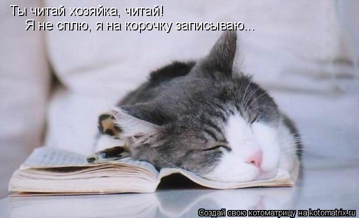 Котоматрица: Ты читай хозяйка, читай! Я не сплю, я на корочку записываю...