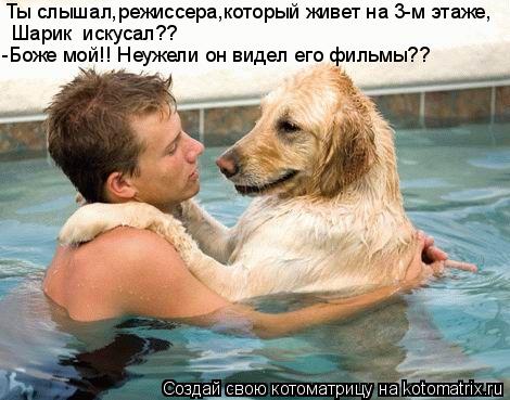 Котоматрица: Ты слышал,режиссера,который живет на 3-м этаже, Шарик  искусал?? -Боже мой!! Неужели он видел его фильмы??