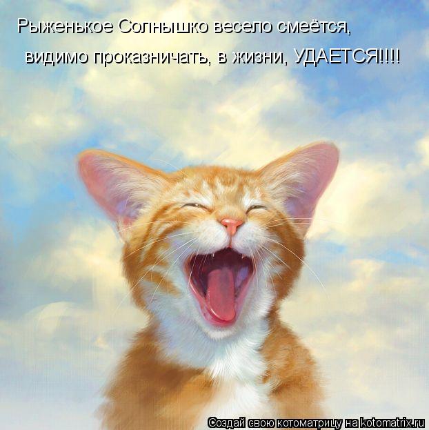 Рыженькое Солнышко весело смеётся, видимо проказничать, в жизни, УДАЕТСЯ!!!!... Котоматрица: Рыженькое Солнышко весело смеётся, видимо проказничать, в жизни, УДАЕТСЯ!!!!