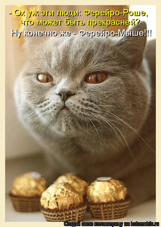 Котоматрица: - Ох уж эти люди: Ферейро-Роше,  что может быть прекрасней? Ну конечно же - Ферейро-Мыше!!!