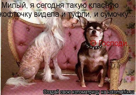 Котоматрица: Милый, я сегодня такую класную  кофточку видела и туфли, и сумочку..... О Господи.....