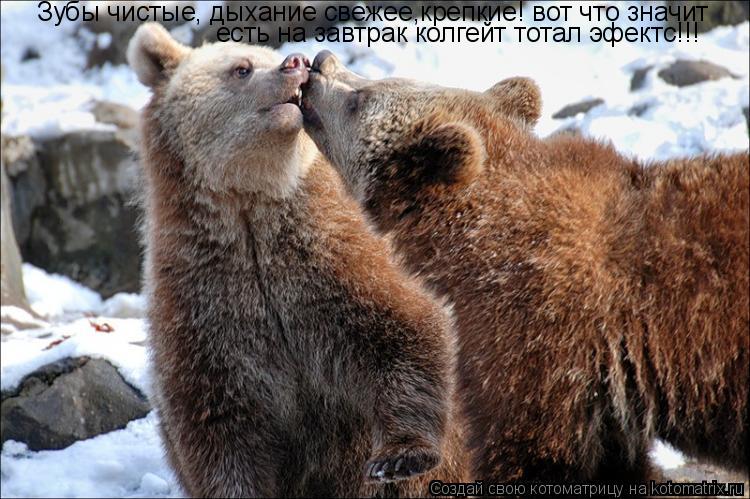 Чистые зубы и свежее дыхание Чистые зубы и свежее дыхание