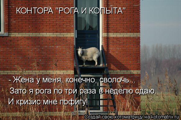 КОНТОРА "РОГА И КОПЫТА" - Жена у меня, конечно, сволочь... Зато я рога по три раза в неделю сдаю. И ... Котоматрица: КОНТОРА "РОГА И КОПЫТА" - Жена у меня, конечно, сволочь... Зато я рога по три раза в неделю сдаю. И кризис мне пофигу!