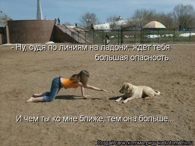 - Ну, судя по линиям на ладони, ждёт тебя большая опасность. И чем ты ко мне ближе, тем она больше..... Котоматрица: - Ну, судя по линиям на ладони, ждёт тебя большая опасность. И чем ты ко мне ближе, тем она больше...