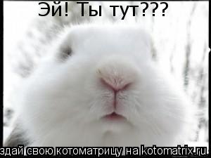 Эй! Ты тут???... Котоматрица: Эй! Ты тут???