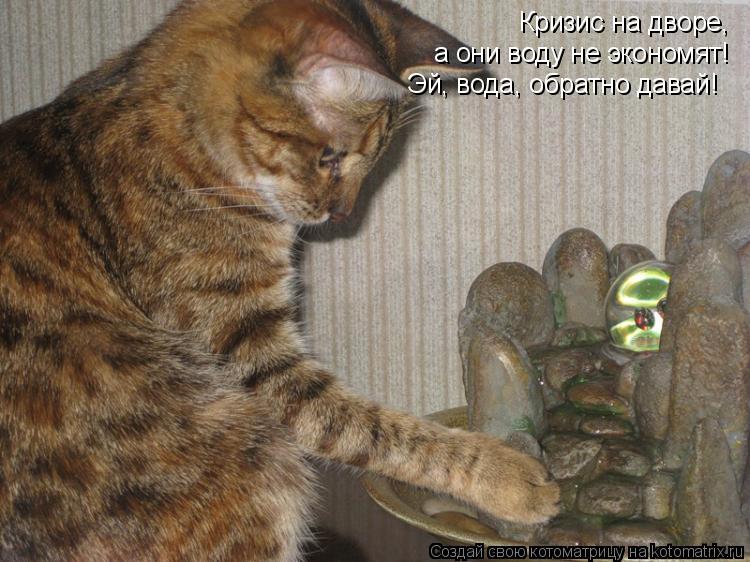 Котоматрица: Кризис на дворе, а они воду не экономят! Эй, вода, обратно давай!