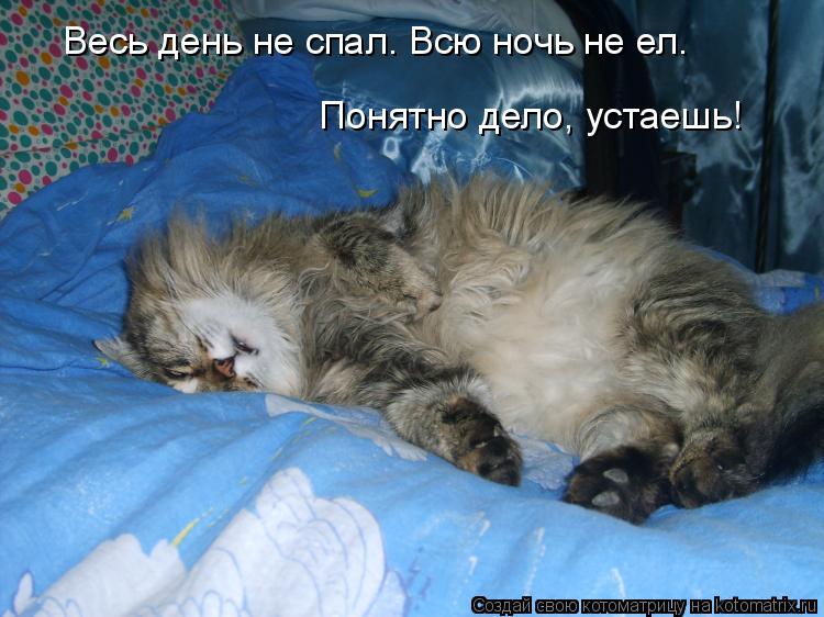 Почему хочется спать днём а не ночью Почему хочется спать днём а не ночью