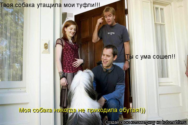 Твоя собака утащила мои туфли!!! Ты с ума сошел!! Моя собака никогда не приходила обутая!))... Котоматрица: Твоя собака утащила мои туфли!!! Ты с ума сошел!! Моя собака никогда не приходила обутая!))