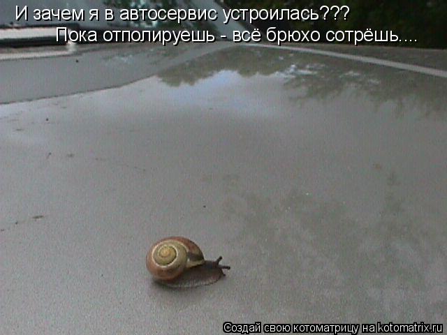 Котоматрица: И зачем я в автосервис устроилась??? Пока отполируешь - всё брюхо сотрёшь....