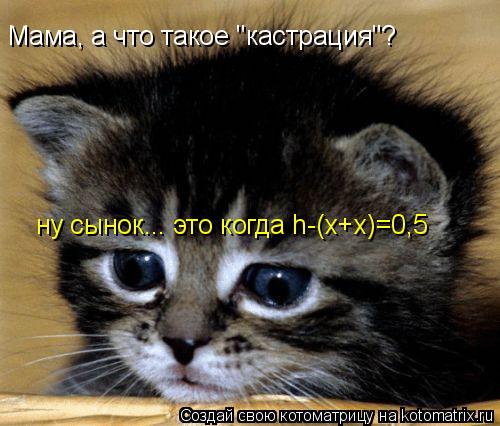 Мама, а что такое "кастрация"? ну сынок... это когда h-(x+x)=0,5... Котоматрица: Мама, а что такое "кастрация"? ну сынок... это когда h-(x+x)=0,5