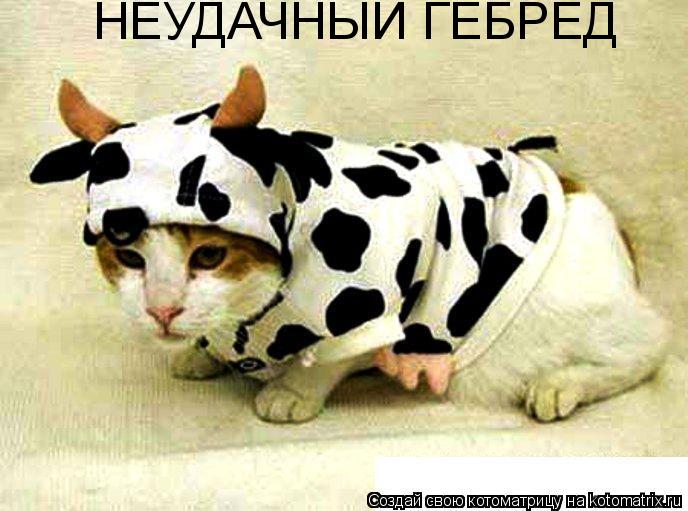 НЕУДАЧНЫЙ ГЕБРЕД... Котоматрица: НЕУДАЧНЫЙ ГЕБРЕД