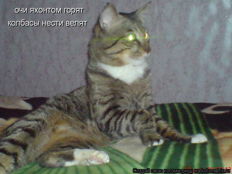 очи яхонтом горят колбасы нести велят... Котоматрица: очи яхонтом горят колбасы нести велят