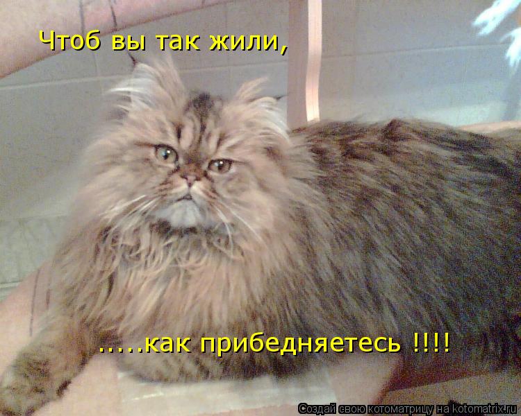 Чтоб вы так жили, .....как прибедняетесь !!!!... Котоматрица: Чтоб вы так жили, .....как прибедняетесь !!!!