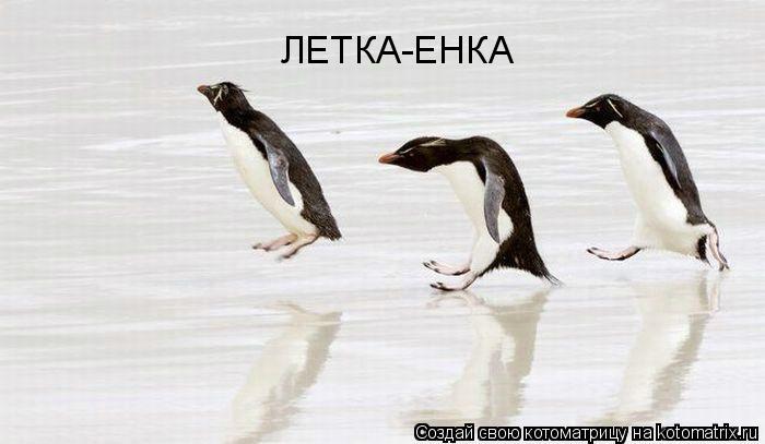 ЛЕТКА-ЕНКА... Котоматрица: ЛЕТКА-ЕНКА