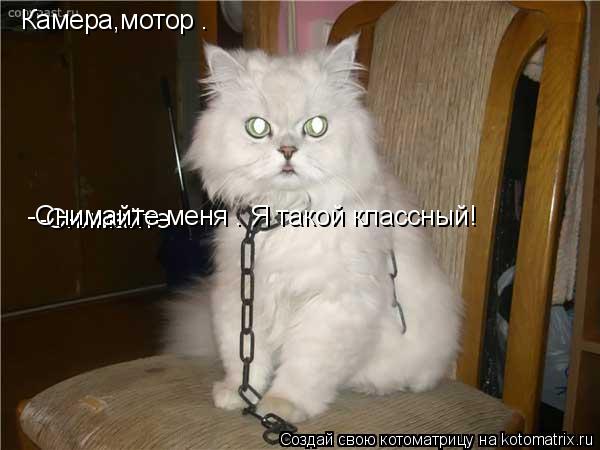 Камера,мотор . -Снимайте -Снимайте меня . Я такой классный! ... Котоматрица: Камера,мотор . -Снимайте -Снимайте меня . Я такой классный! -Снимайте меня . Я такой классн