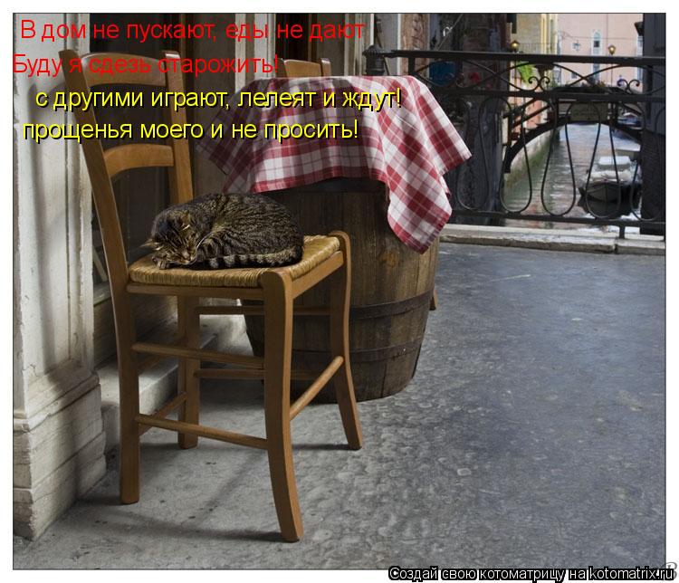 В дом не пускают, еды не дают Буду я сдезь старожить! с другими играют, лелеят и ждут! прощенья моего... Котоматрица: В дом не пускают, еды не дают Буду я сдезь старожить! с другими играют, лелеят и ждут! прощенья моего и не просить!