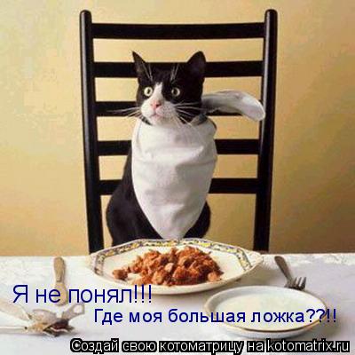 Я не понял!!! Где моя большая ложка??!!... Котоматрица: Я не понял!!! Где моя большая ложка??!!