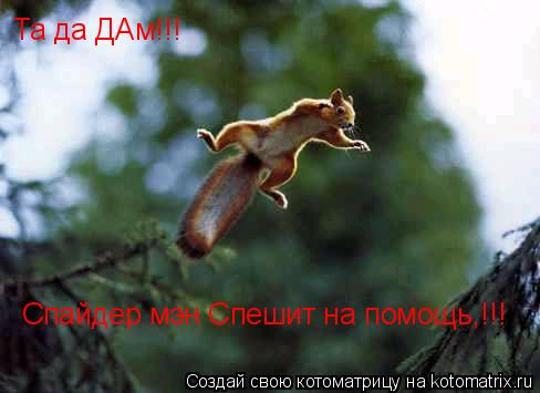 Та да ДАм!!! Спайдер мэн Спешит на помощь,!!!... Котоматрица: Та да ДАм!!! Спайдер мэн Спешит на помощь,!!!