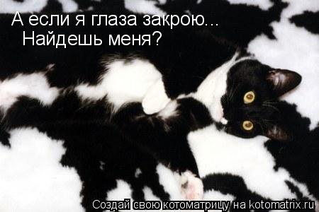 А если я глаза закрою... Найдешь меня?... Котоматрица: А если я глаза закрою... Найдешь меня?