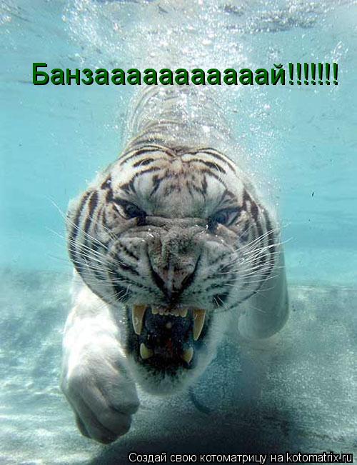 Банзааааааааааай!!!!!!!... Котоматрица: Банзааааааааааай!!!!!!!