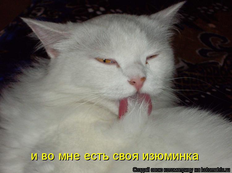 и во мне есть своя изюминка... Котоматрица: и во мне есть своя изюминка