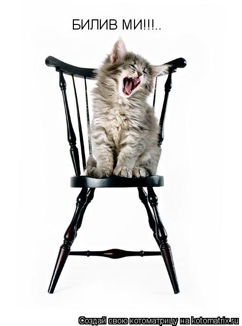 БИЛИВ МИ!!!..... Котоматрица: БИЛИВ МИ!!!..