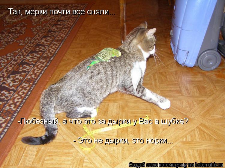 Так, мерки почти все сняли... -Любезный, а что это за дырки у Вас в шубке? - Это не дырки, это норки.... Котоматрица: Так, мерки почти все сняли... -Любезный, а что это за дырки у Вас в шубке? - Это не дырки, это норки...