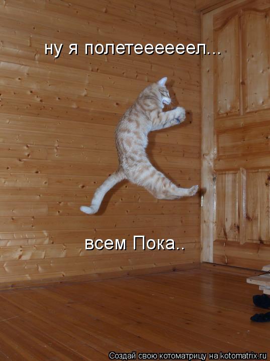 ну я полетеееееел... всем Пока..... Котоматрица: ну я полетеееееел... всем Пока..