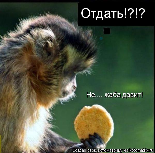 Котоматрица: Отдать!?!? Не.... жаба давит!