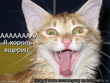 ААААААААА Я король ящериц... Котоматрица: ААААААААА Я король ящериц