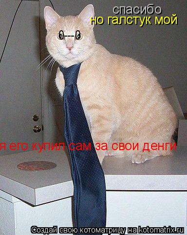 спасибо но галстук мой я его купил сам за свои денги я его купил сам за свои денги 0---0... Котоматрица: спасибо но галстук мой я его купил сам за свои денги я его купил сам за свои денги 0---0