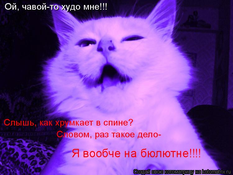 Ой, чавой-то худо мне!!! Слышь, как хрумкает в спине? Словом, раз такое дело- Я вообче на бюлютне!!!!... Котоматрица: Ой, чавой-то худо мне!!! Слышь, как хрумкает в спине? Словом, раз такое дело- Я вообче на бюлютне!!!!