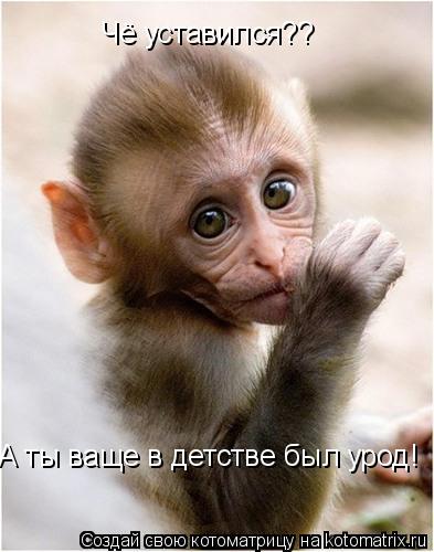 Чё уставился?? А ты ваще в детстве был урод!... Котоматрица: Чё уставился?? А ты ваще в детстве был урод!