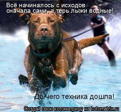 Всё начиналось с исходов сначала сани, а терь лыжи водные! До чего техника дошла!... Котоматрица: Всё начиналось с исходов сначала сани, а терь лыжи водные! До чего техника дошла!