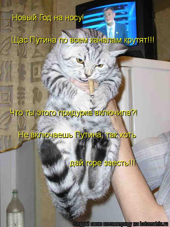 Новый Год на носу! Щас Путина по всем каналам крутят!!! Что ты этого придурка включила?! Не включаешь... Котоматрица: Новый Год на носу! Щас Путина по всем каналам крутят!!! Что ты этого придурка включила?! Не включаешь Путина, так хоть дай горе заесть!!!