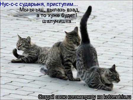 Нус-с-с сударыня, приступим... Мы-ы-ыш, вылазь взад, а то хуже будет! шалунишка...... Котоматрица: Нус-с-с сударыня, приступим... Мы-ы-ыш, вылазь взад, а то хуже будет! шалунишка...
