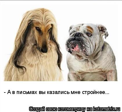 - А в письмах вы казались мне стройнее...... Котоматрица: - А в письмах вы казались мне стройнее...