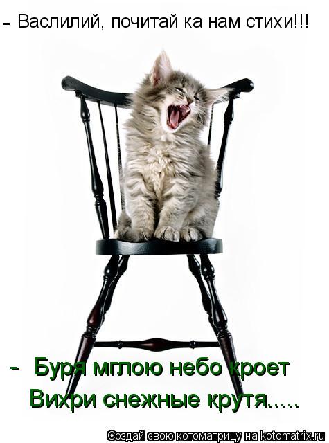 Васлилий, почитай ка нам стихи!!! Буря мглою небо кроет Вихри снежные крутя..... - -... Котоматрица: Васлилий, почитай ка нам стихи!!! Буря мглою небо кроет Вихри снежные крутя..... - -