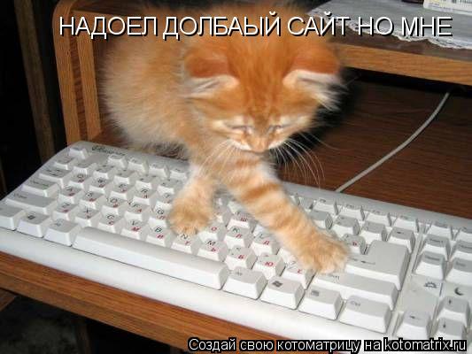НАДОЕЛ ДОЛБАЫЙ САЙТ НО МНЕ... Котоматрица: НАДОЕЛ ДОЛБАЫЙ САЙТ НО МНЕ