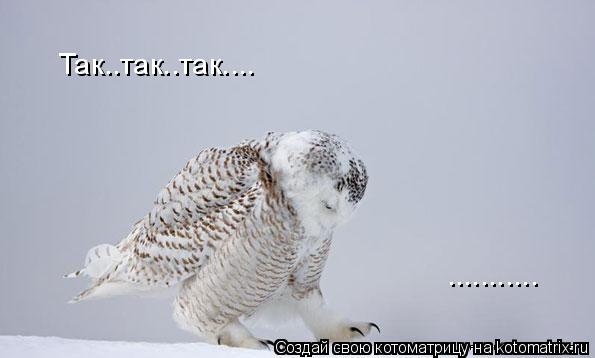 Так..так..так.... .............. Котоматрица: Так..так..так.... ...........