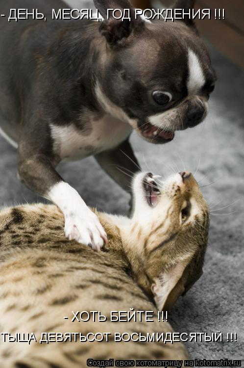 - ДЕНЬ, МЕСЯЦ, ГОД РОЖДЕНИЯ !!! - ХОТЬ БЕЙТЕ !!! ТЫЩА ДЕВЯТЬСОТ ВОСЬМИДЕСЯТЫЙ !!!... Котоматрица: - ДЕНЬ, МЕСЯЦ, ГОД РОЖДЕНИЯ !!! - ХОТЬ БЕЙТЕ !!! ТЫЩА ДЕВЯТЬСОТ ВОСЬМИДЕСЯТЫЙ !!!