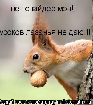 нет спайдер мэн!! уроков лазанья не даю!!!... Котоматрица: нет спайдер мэн!! уроков лазанья не даю!!!