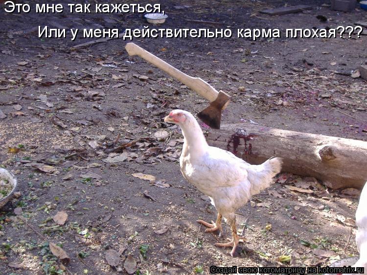 Это мне так кажеться, Или у меня действительно карма плохая???... Котоматрица: Это мне так кажеться, Или у меня действительно карма плохая???