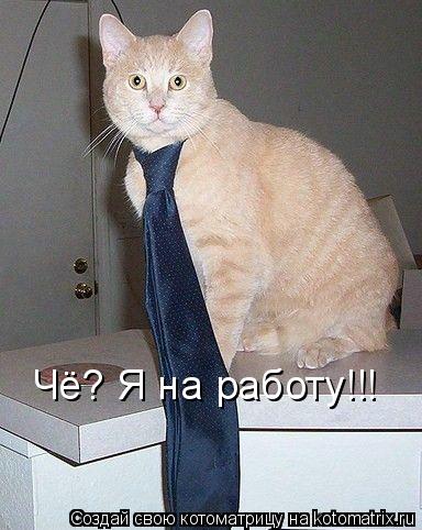 Чё? Я на работу!!!... Котоматрица: Чё? Я на работу!!!