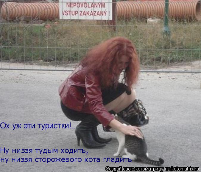 Ох уж эти туристки!.. Ну низзя тудым ходить, ну низзя сторожевого кота гладить... Котоматрица: Ох уж эти туристки!.. Ну низзя тудым ходить, ну низзя сторожевого кота гладить