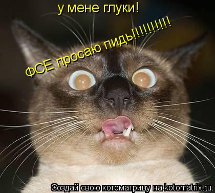 у мене глуки! ФСЕ просаю пидь!!!!!!!!!!... Котоматрица: у мене глуки! ФСЕ просаю пидь!!!!!!!!!!