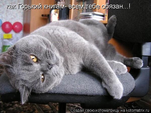 как Горький книгам- всем тебе обязан...!... Котоматрица: как Горький книгам- всем тебе обязан...!
