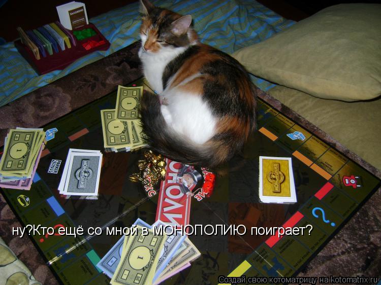 ну?Кто ещё со мной в МОНОПОЛИЮ поиграет?... Котоматрица: ну?Кто ещё со мной в МОНОПОЛИЮ поиграет?