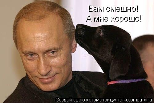 Вам смешно! А мне хорошо!... Котоматрица: Вам смешно! А мне хорошо!